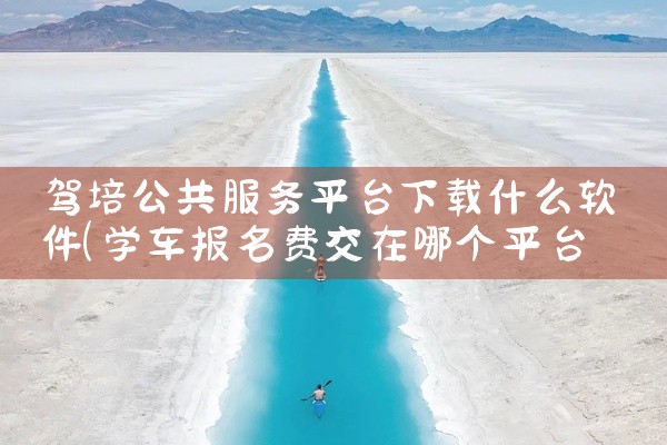 驾培公共服务平台下载什么软件