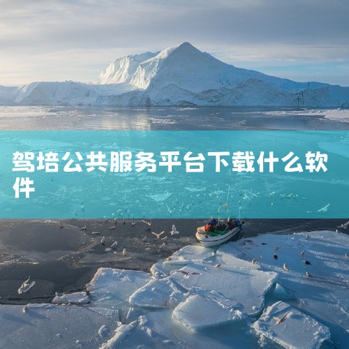 学车报名费缴费平台主要有“济南驾培公共服务平台”小程序（支付宝、微信、云闪付等支付通道）以及交管12123 APP。“济南驾培公共服务平台”小程序“济南驾培公共服务平台”小程序是一个专门为学车报名缴费|