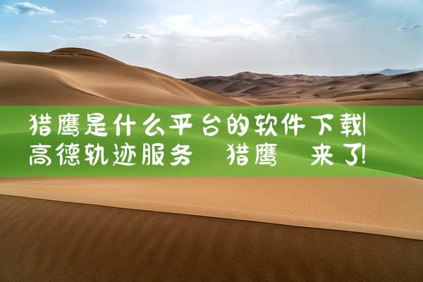 猎鹰是什么平台的软件下载