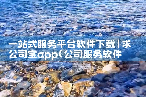一站式服务平台软件下载