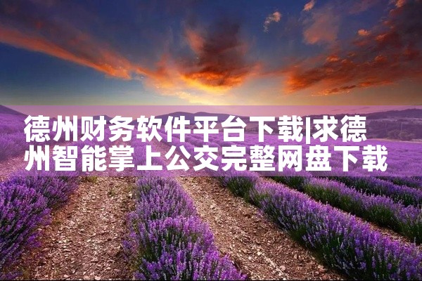 德州财务软件平台下载